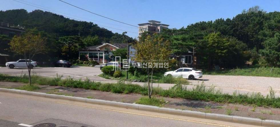 인천 영종구 을왕동 을왕근생시설및단독주택동 을왕 최고 입지 단체석 완비 대형버스 주차 가능 단독 음식점 임대 월세 매물번호 14684 사진 5