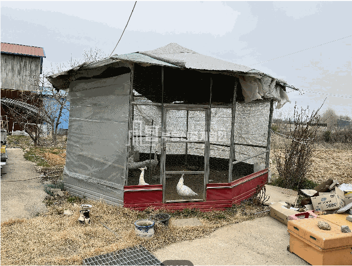 인천 강화군 불은면 삼성리 769-9 2,3,동 강화창고, 강화토지, 불은면 삼성리 창고 및 토지 경매 매물번호 14778 사진 4
