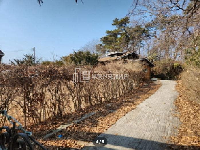 인천 강화군 강화읍 관청리 76-1 강화단독주택,강화전원주택, 강화읍 단독주택 경매 매물번호 14404 사진 2
